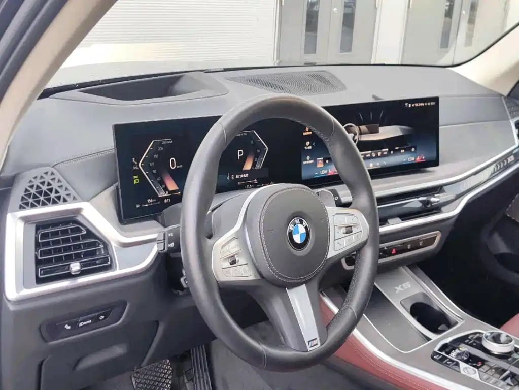BMW X5 — миниатюра 7