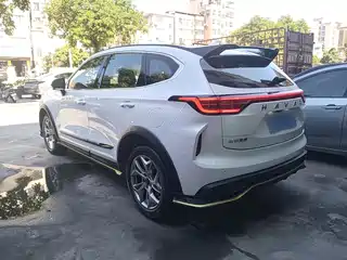 Haval Chitu Jinxiang Edition 1.5T Copper Rabbit