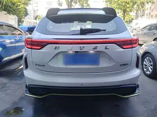 Haval Chitu Jinxiang Edition 1.5T Copper Rabbit