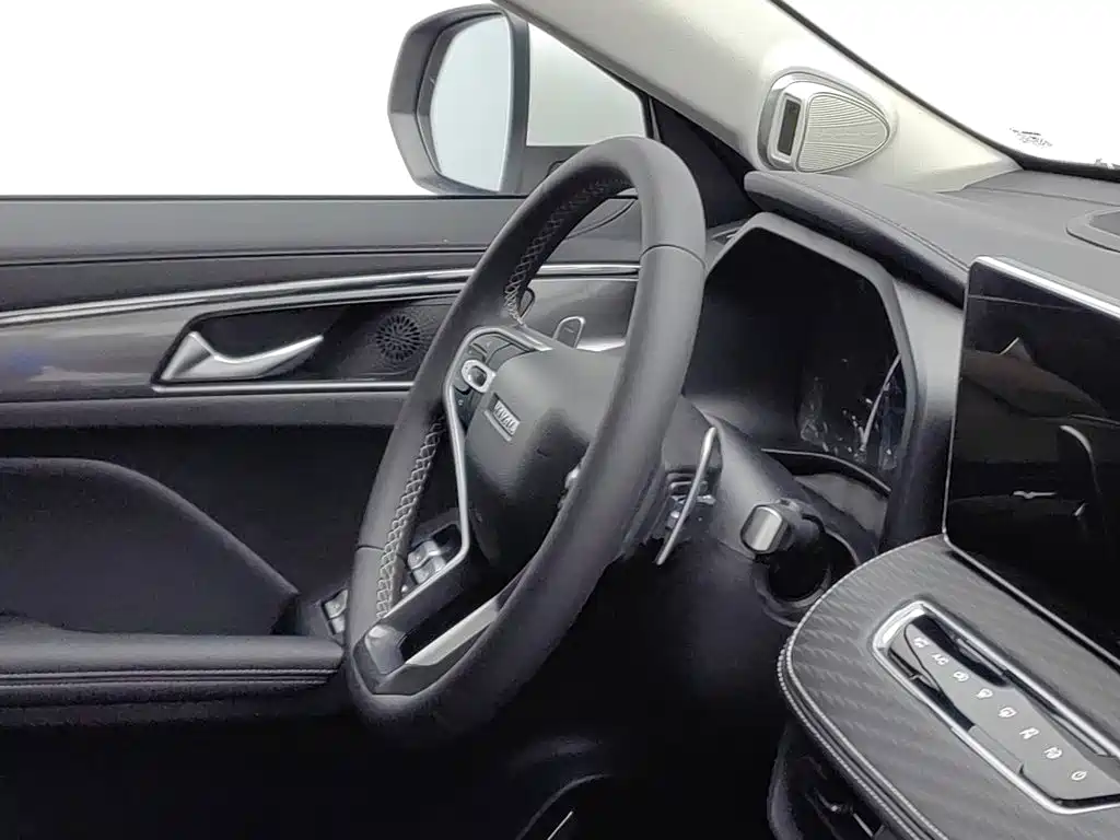 Haval Chulian — миниатюра 22
