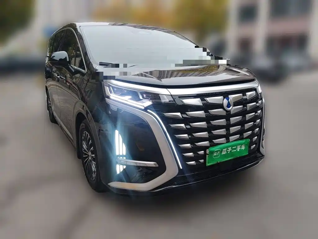 Denza Denza D9 — миниатюра 3
