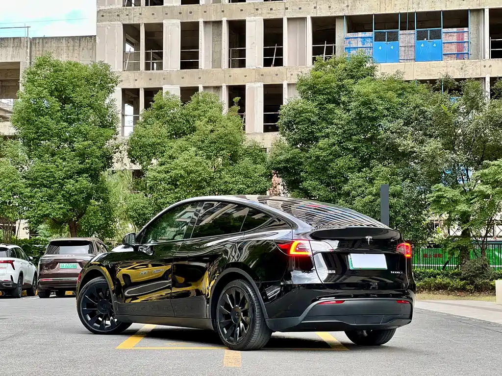 Tesla Model Y — миниатюра 21