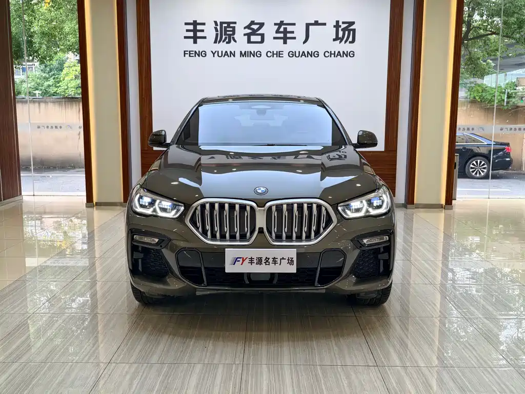 BMW X6 2020 xDrive40i Premium M Sport