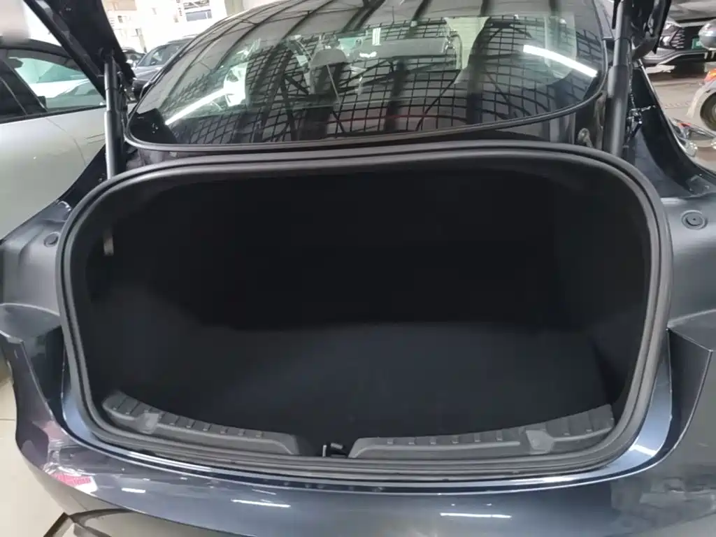 Tesla Model 3 — миниатюра 19