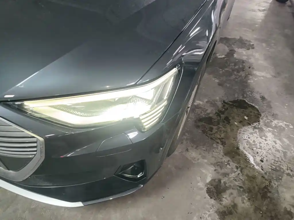 Audi e-tron (Import) — миниатюра 24