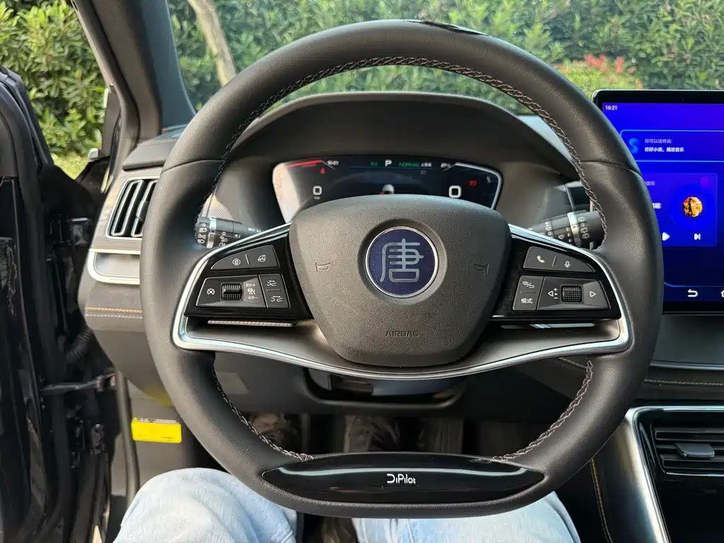 BYD Tang New Energy — миниатюра 14