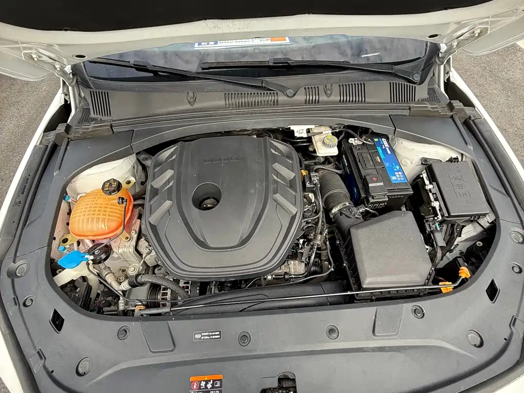 GEELY AUTOMOBILE XINGRUI