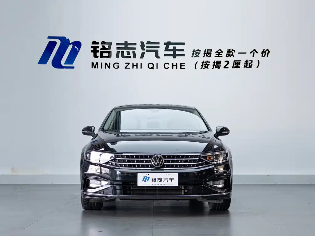 Volkswagen Magotan — миниатюра 2