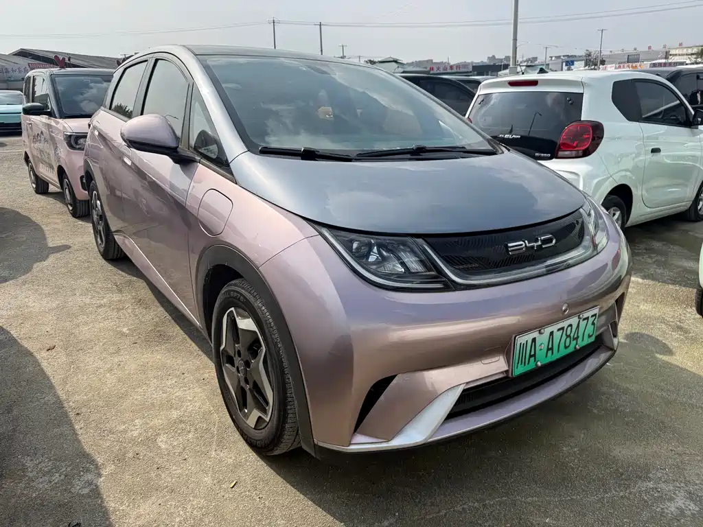BYD Dolphin — миниатюра 3