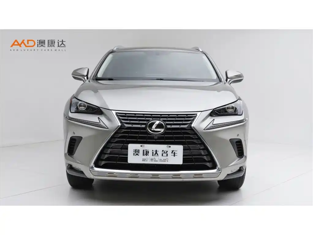 Lexus NX — миниатюра 2