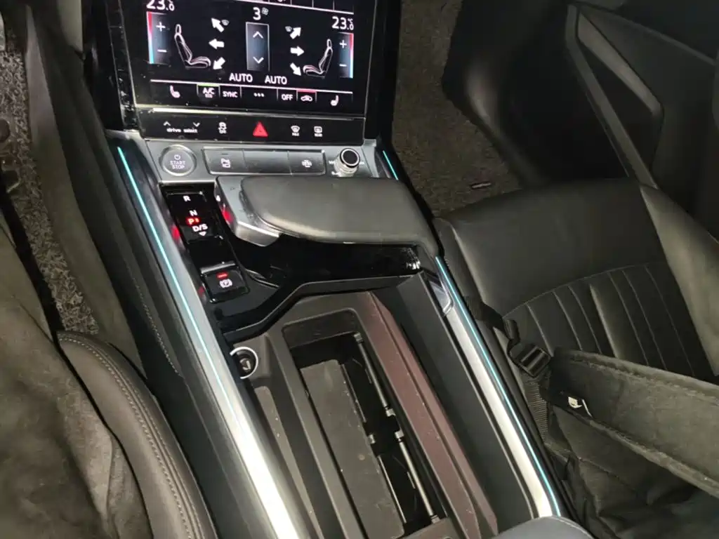 Audi e-tron (Import) — миниатюра 14
