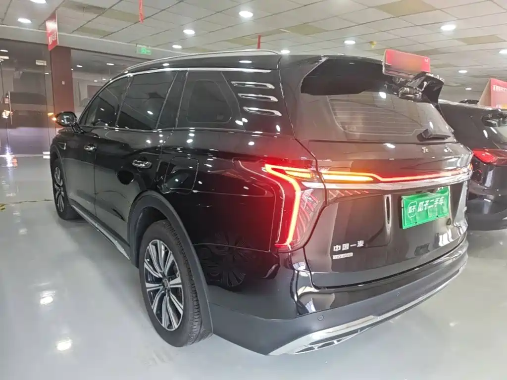 Hongqi Hongqi HS7 PHEV — миниатюра 5