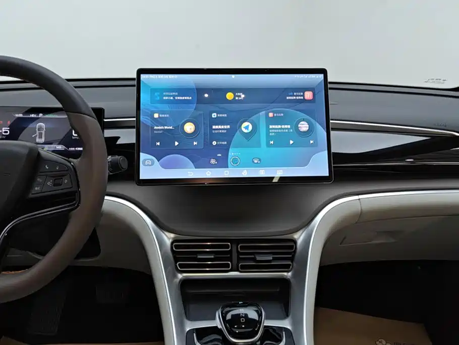 BYD Pro New Energy — миниатюра 13