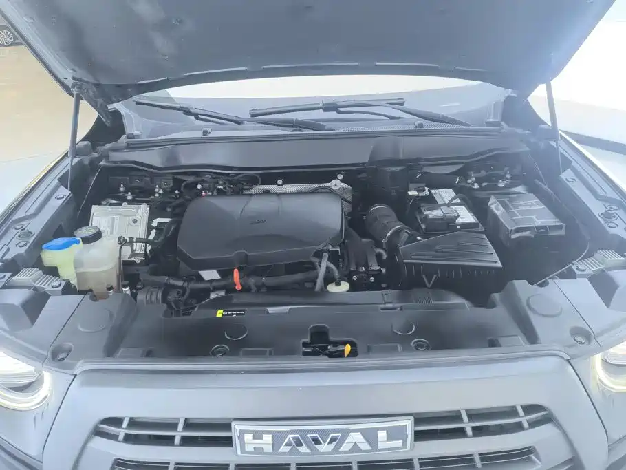 Haval Big Dog — миниатюра 10