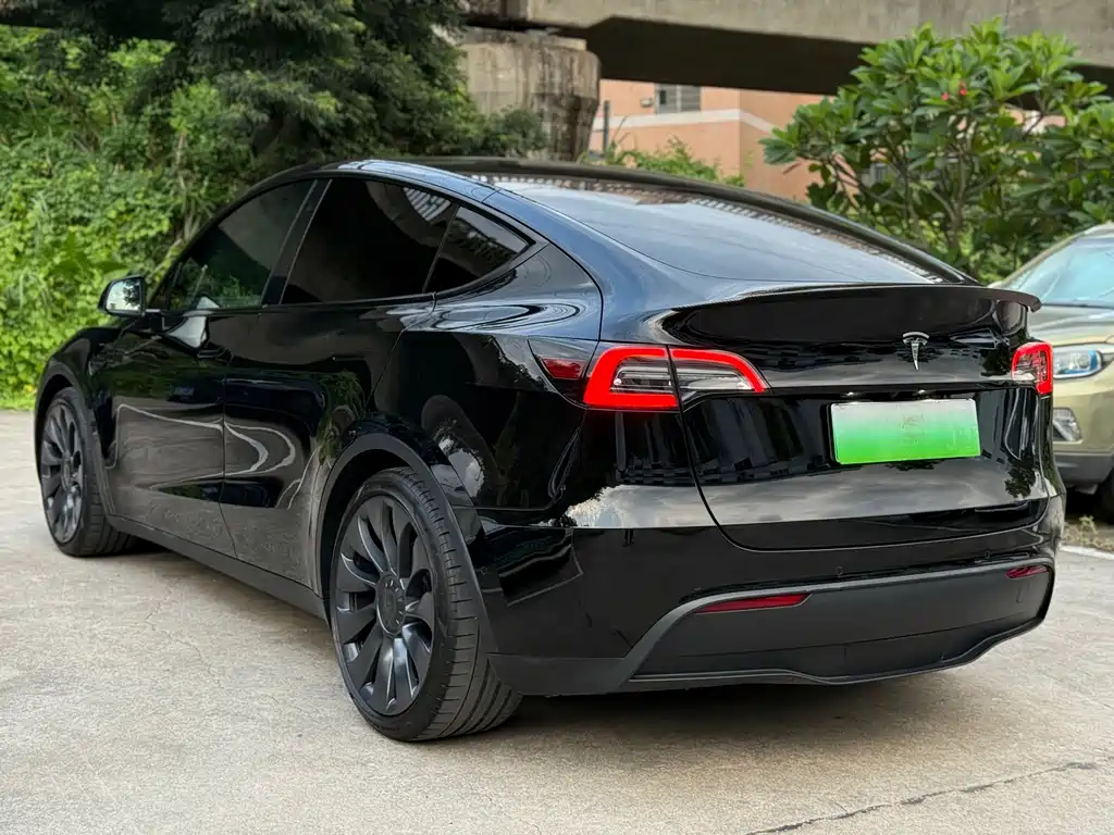 Tesla Model Y — миниатюра 4