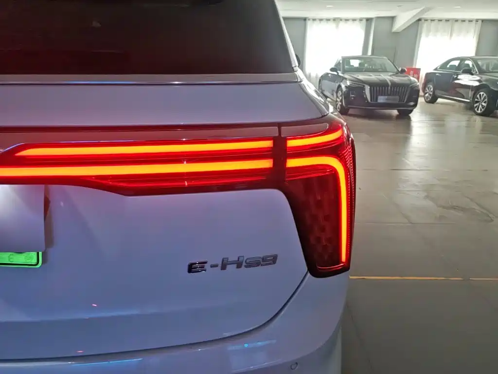 Hongqi Hongqi E-HS9 — миниатюра 8
