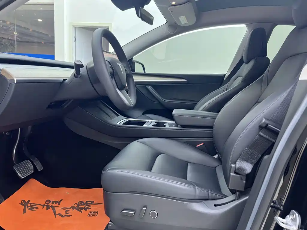 Tesla Model Y — миниатюра 10