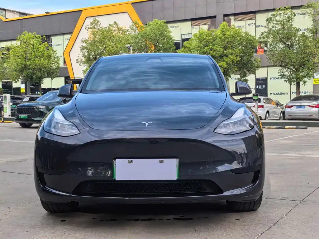 Tesla Model Y — миниатюра 2