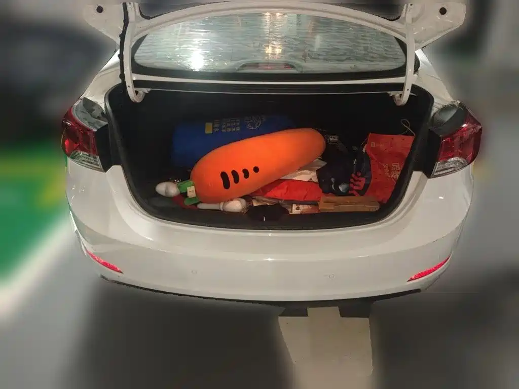 Hyundai Elantra Langdong — миниатюра 10