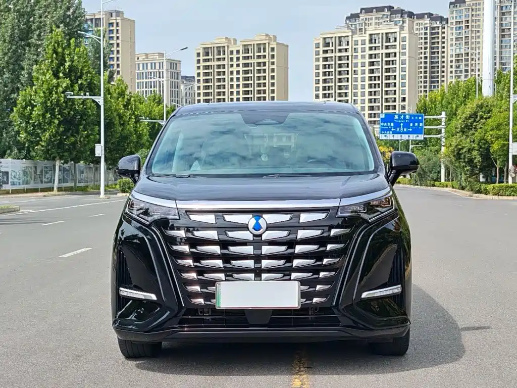Denza Denza D9 — миниатюра 2