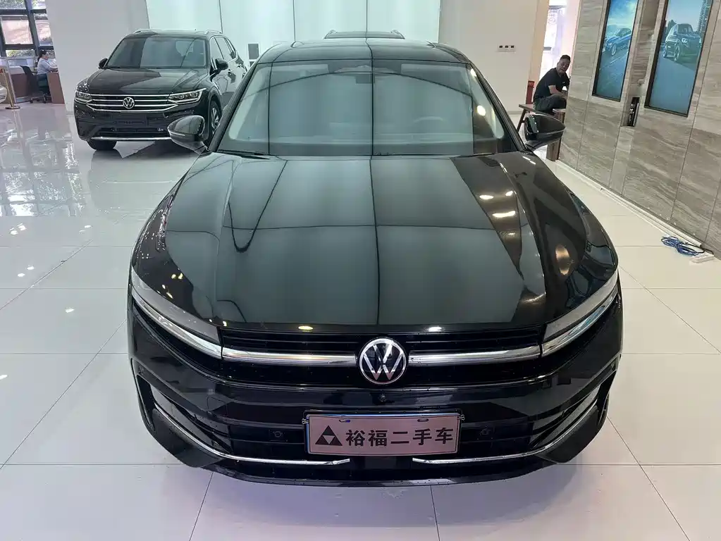 Volkswagen Magotan — миниатюра 2
