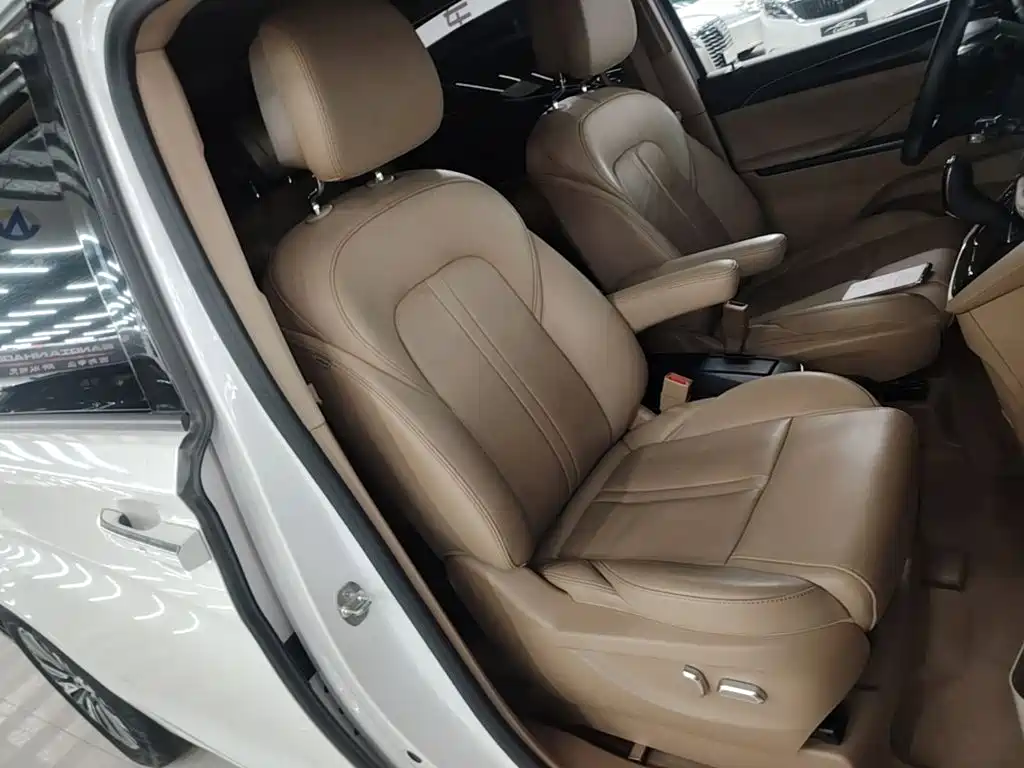 Buick GL8 — миниатюра 25