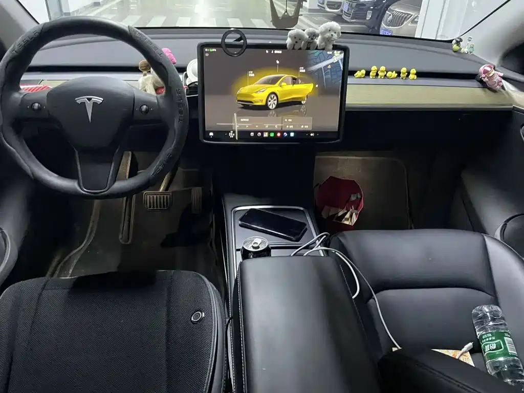Tesla Model Y — миниатюра 9