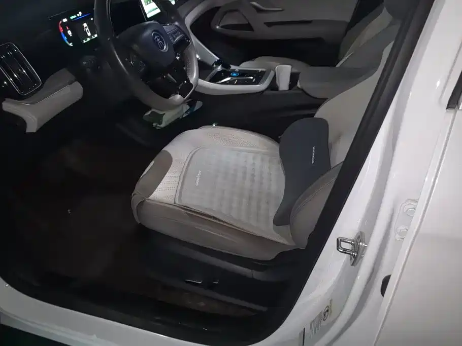 BYD Pro New Energy — миниатюра 9