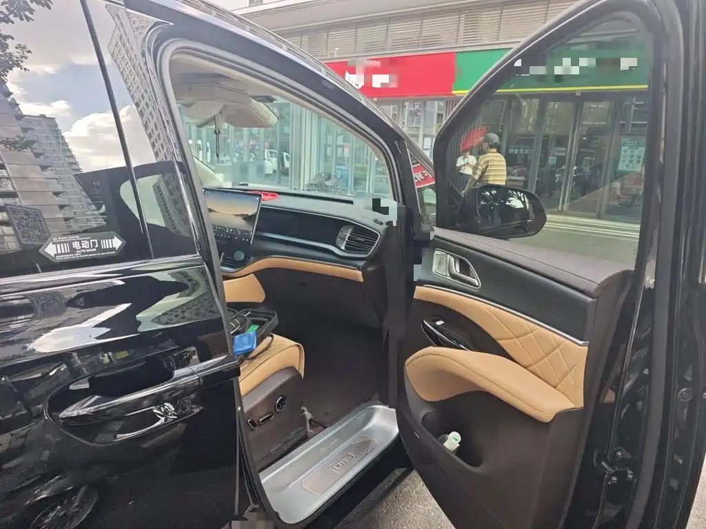 Denza Denza D9 — миниатюра 19