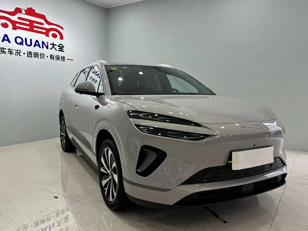 BYD SEA LION 06 NEW ENERGY