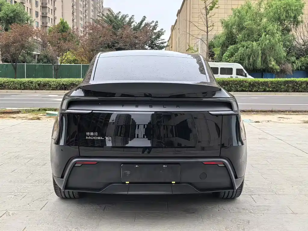 Tesla Model Y — миниатюра 8