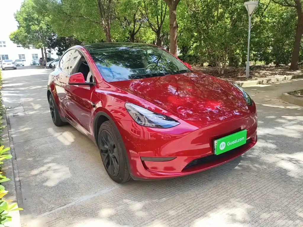 Tesla Model Y — миниатюра 4