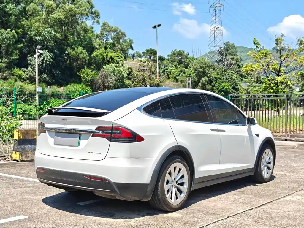 Tesla Model X — миниатюра 9