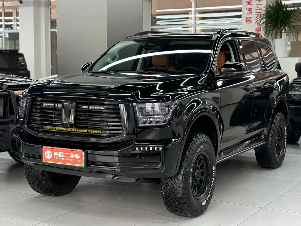 Tank Tank 500 New Energy 2024