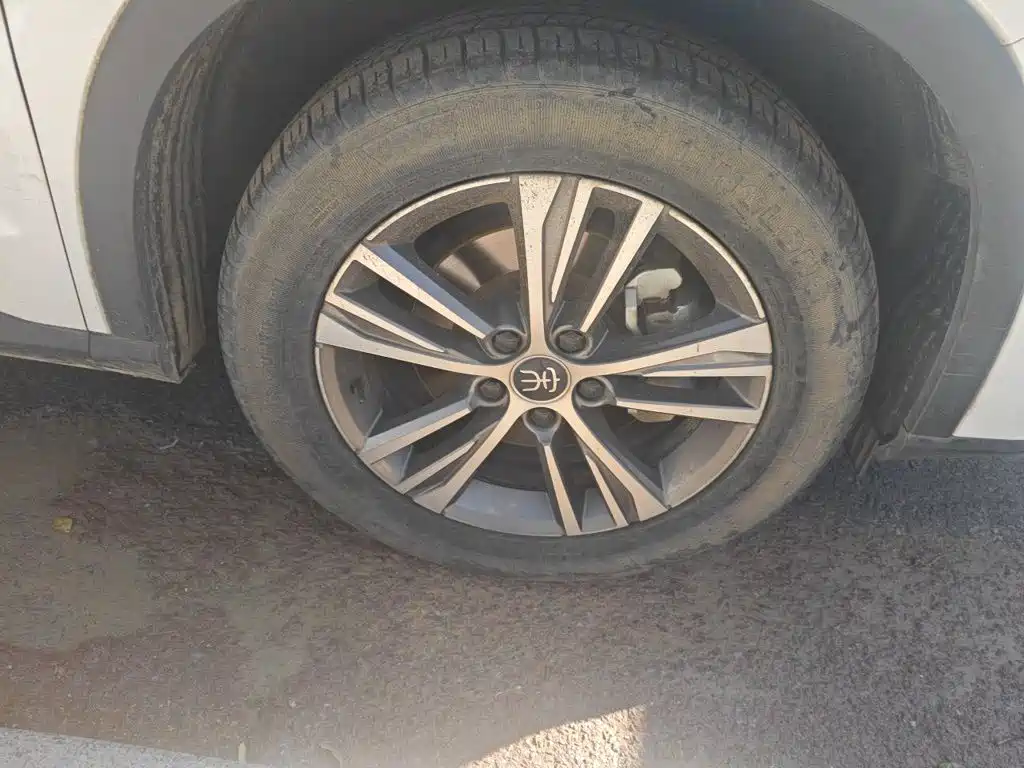 BYD Pro — миниатюра 24