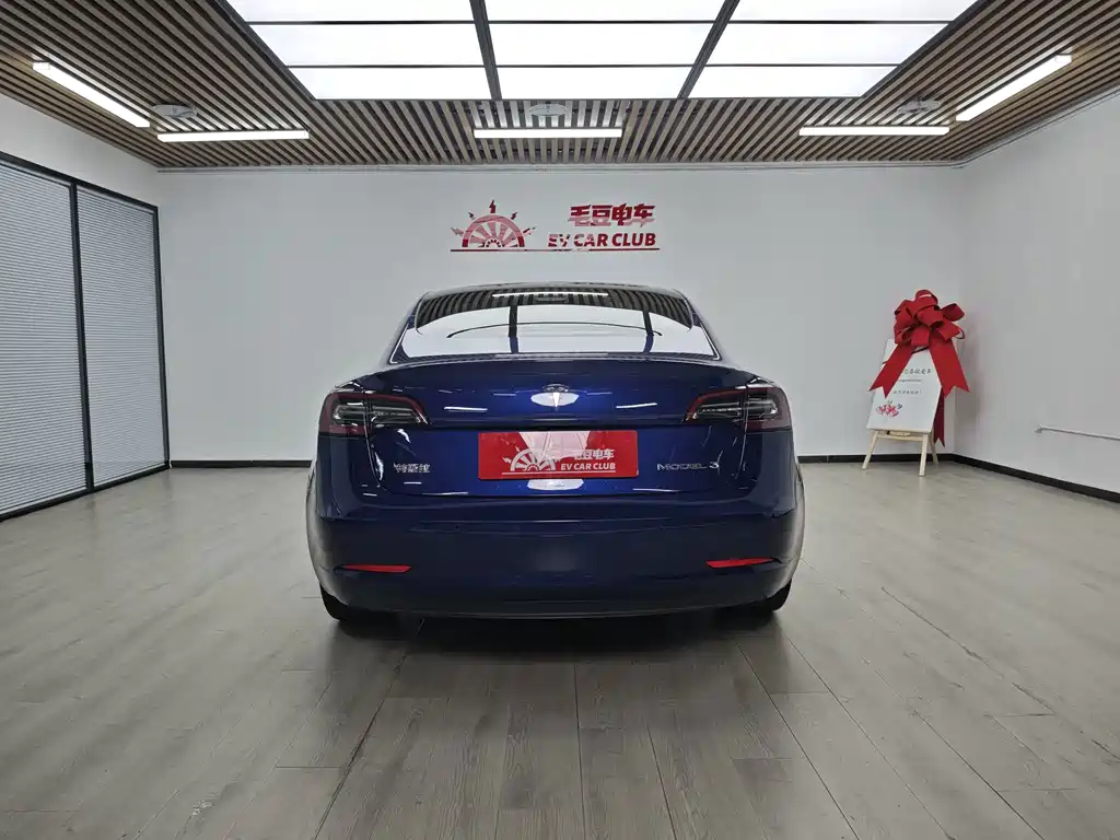 Tesla Model 3 — миниатюра 6