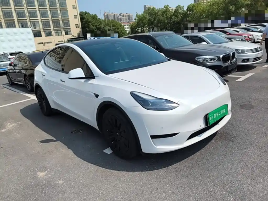 Tesla Model Y — миниатюра 4