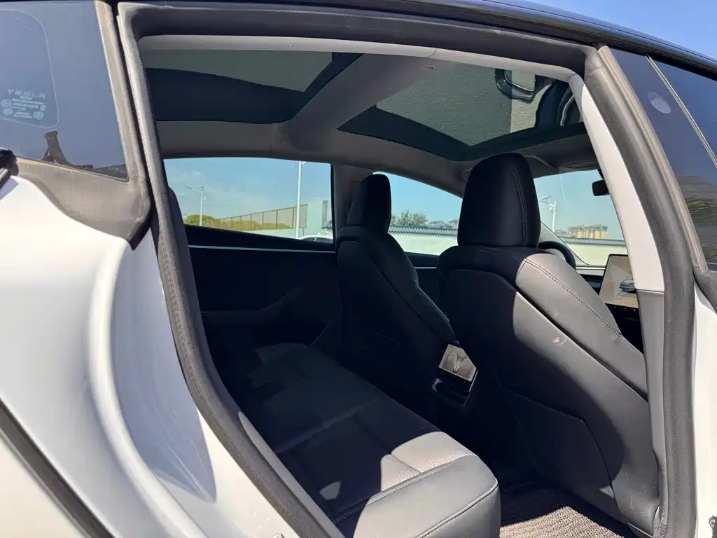 Tesla Model 3 — миниатюра 19