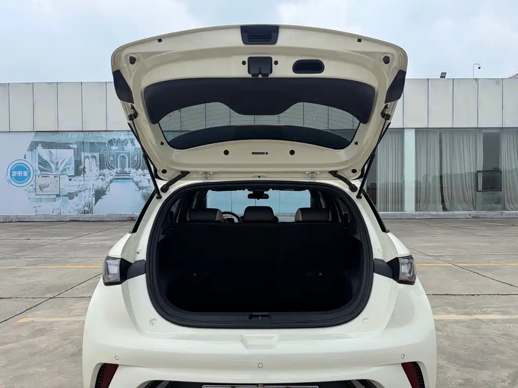 BYD Dolphin — миниатюра 17