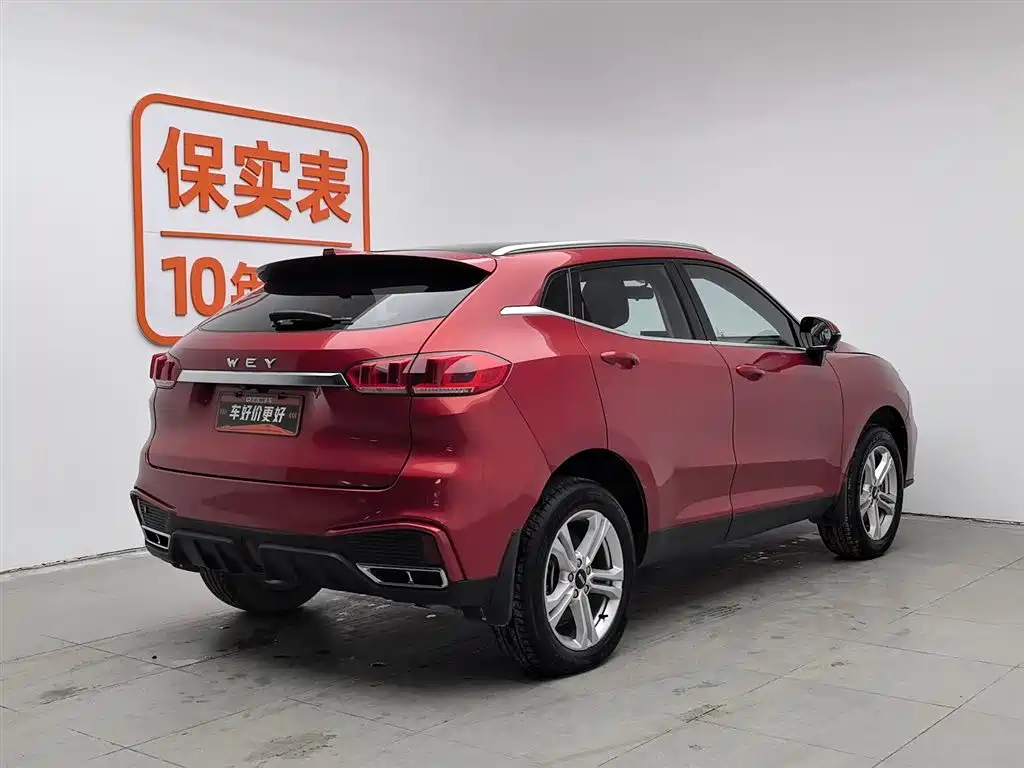 WEI PAI WEI BRAND VV5