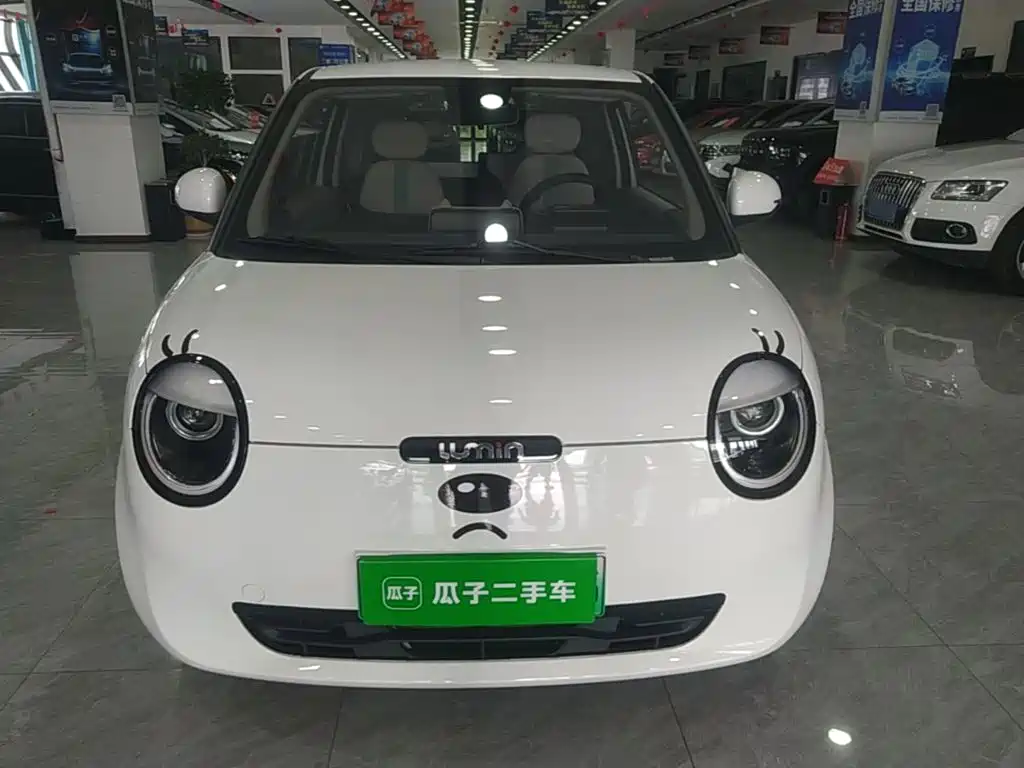 Qiyuan Lumin — миниатюра 3