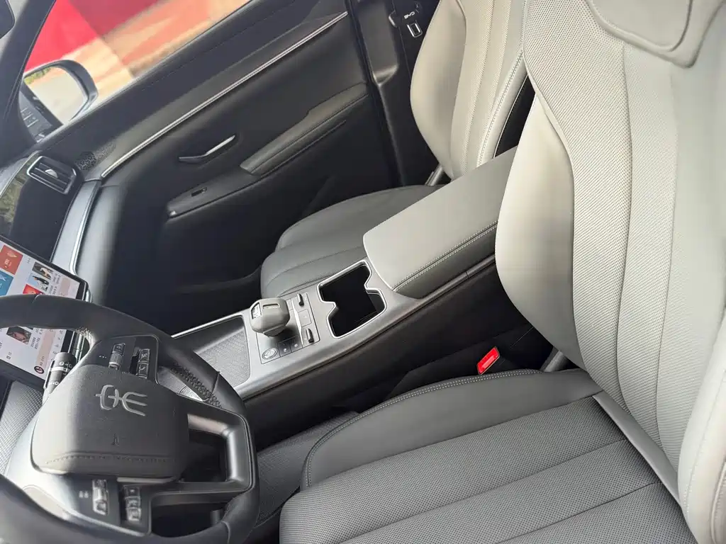 BYD Pro New Energy — миниатюра 15