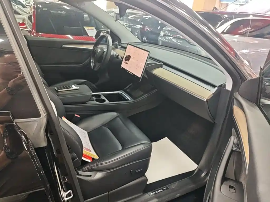 Tesla Model Y — миниатюра 25