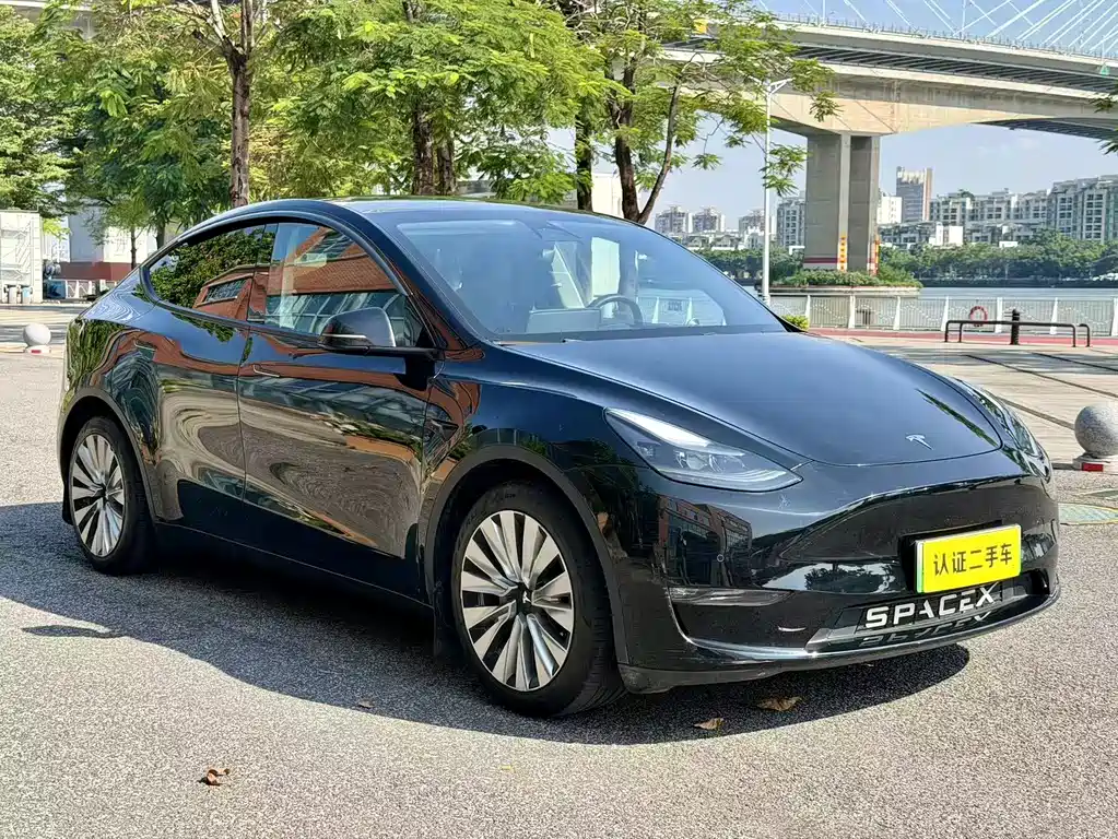 Tesla Model Y — миниатюра 8