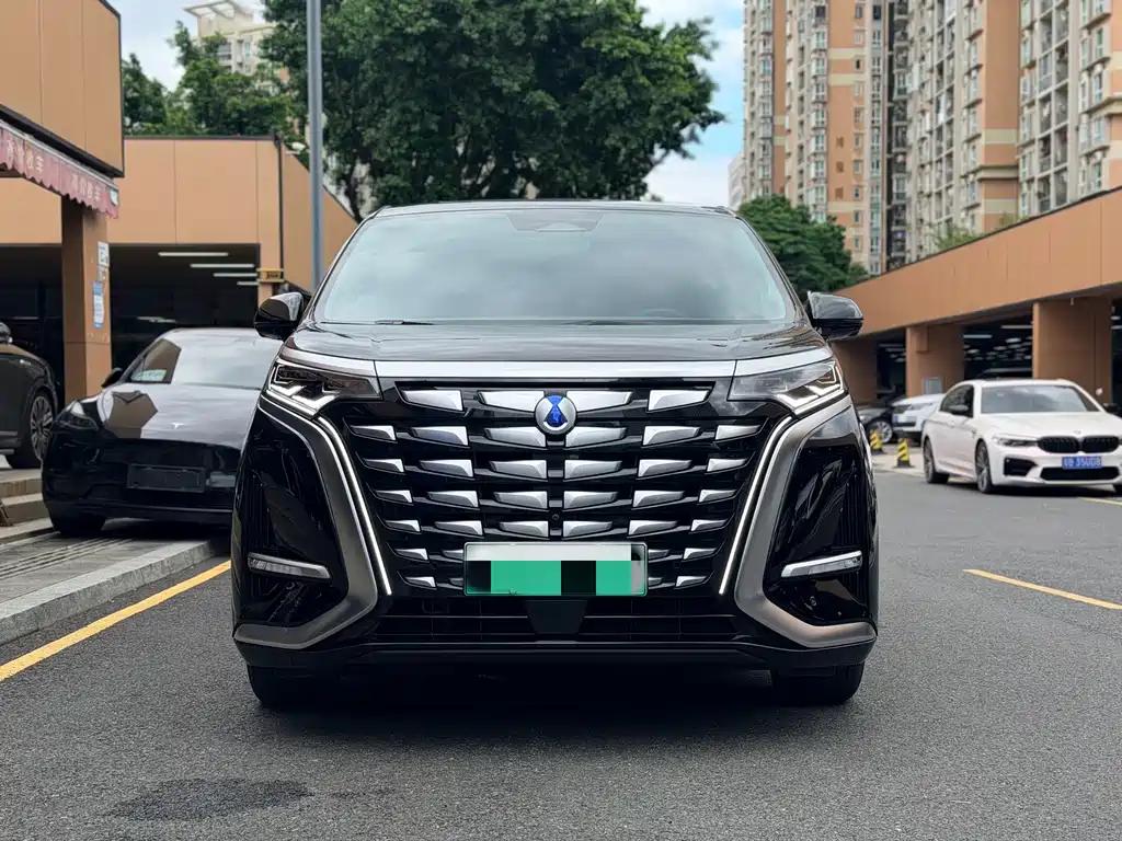 Denza Denza D9 — миниатюра 2