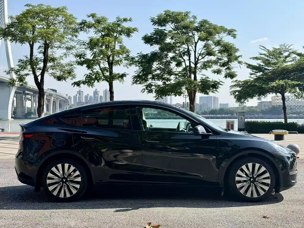 Tesla Model Y — миниатюра 6