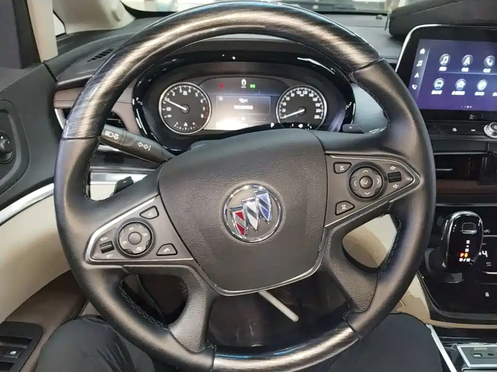 Buick GL8 — миниатюра 11