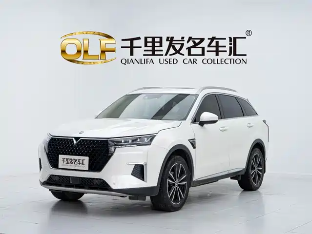 QICHEN XING 2021