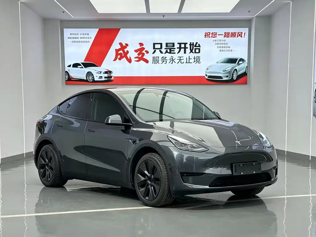 Tesla Model Y — миниатюра 3