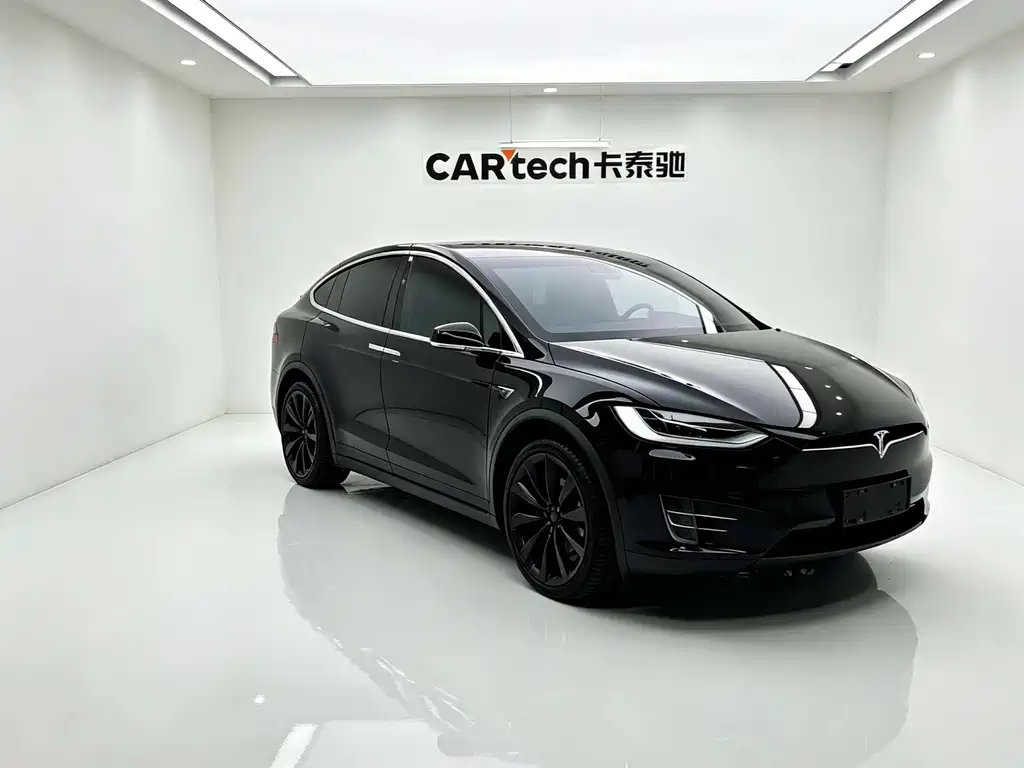Tesla Model X — миниатюра 2